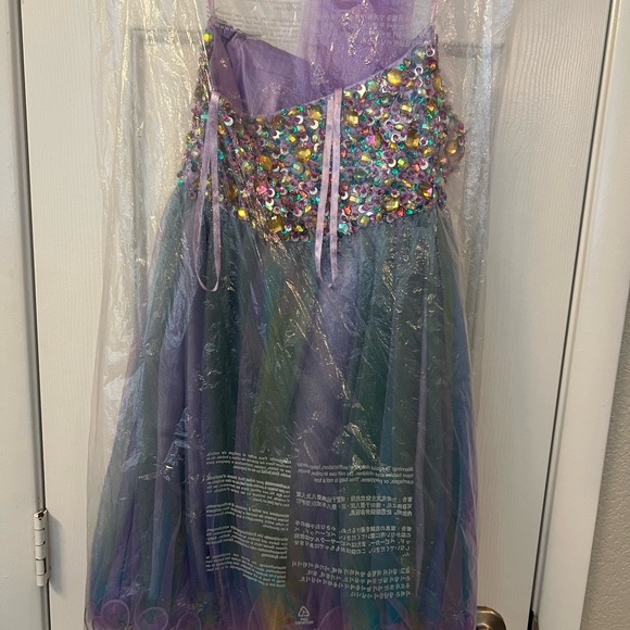 Cinderella Prom/Homecoming Dress - Picture 4 of 10